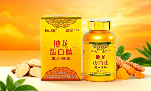 2购-地龙蛋白肽压片糖果（4盒）